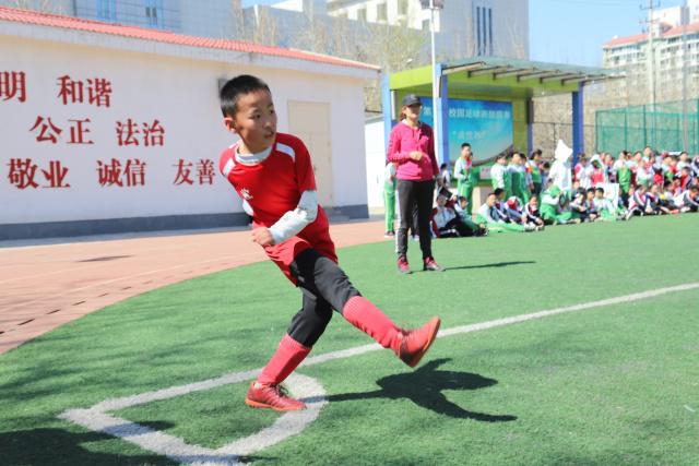 中国男篮82-78力克FMP，6人获满分，1人表现良好，3人合格